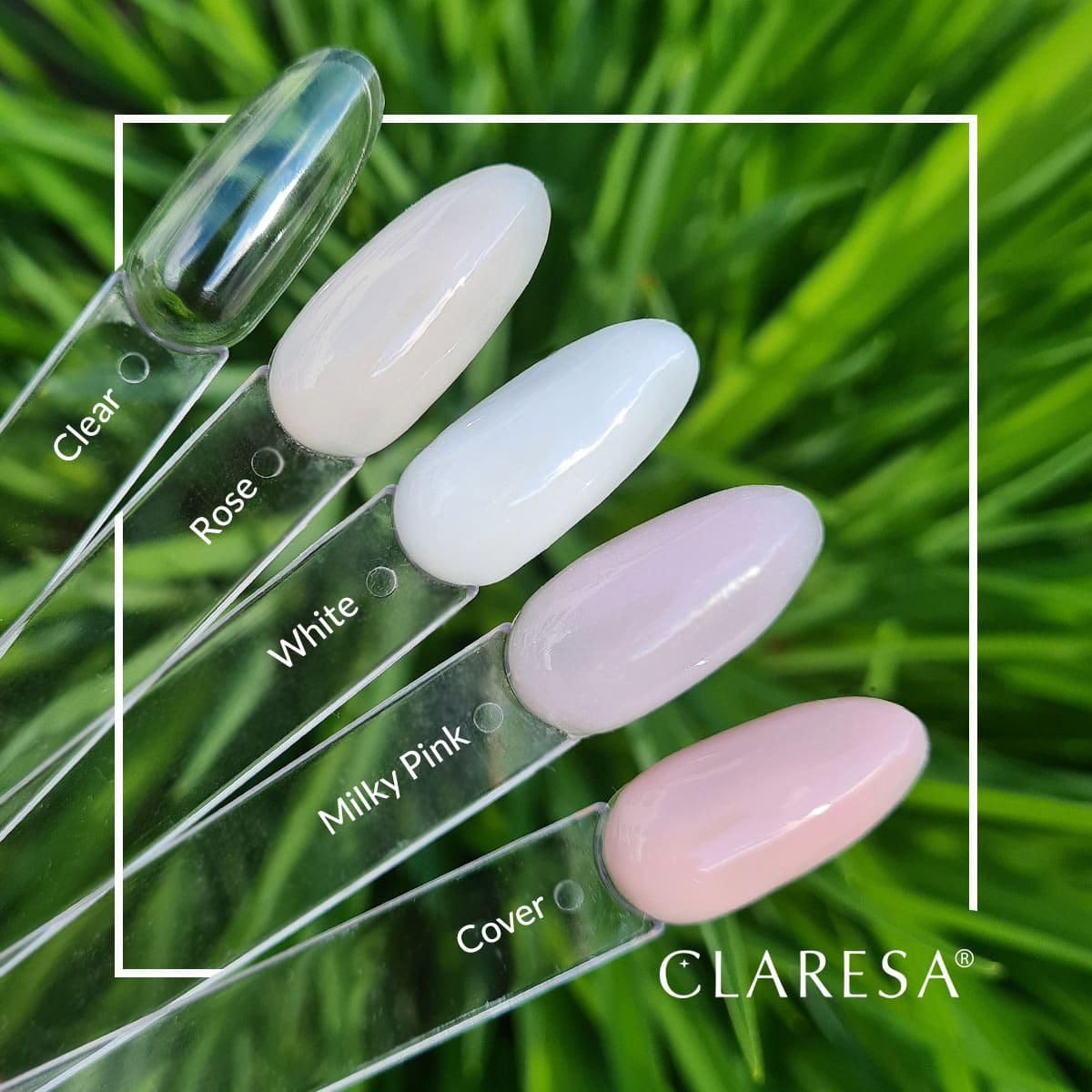 CLARESA BUILDER GEL CLEAR -50 g