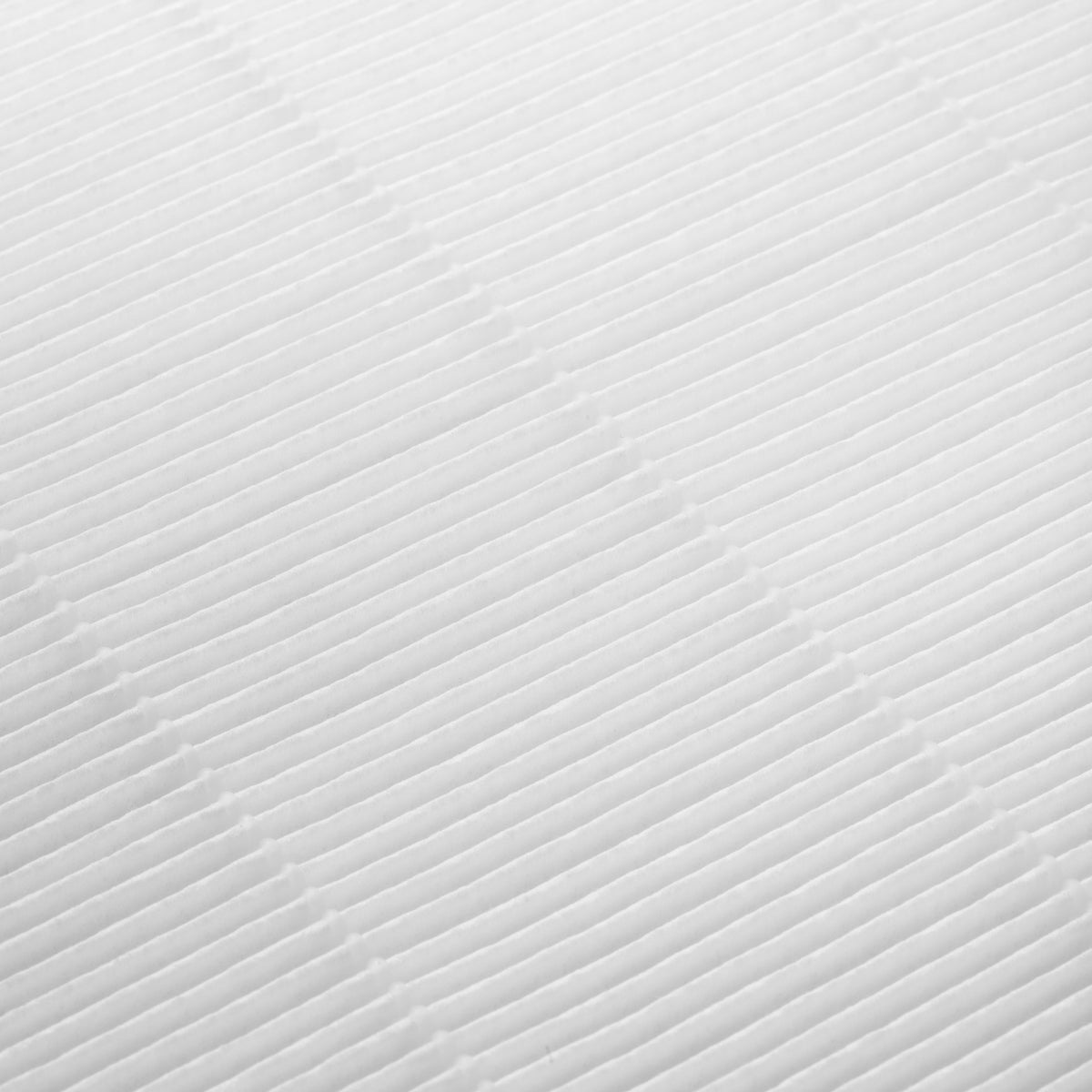 Cassette filter for dust absorber Momo P10 Pro